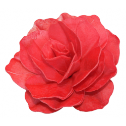 Kwiat waflowy dekoracja tort róża duża czerwony